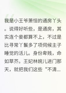 我，通房丫头，怀了小王爷的崽