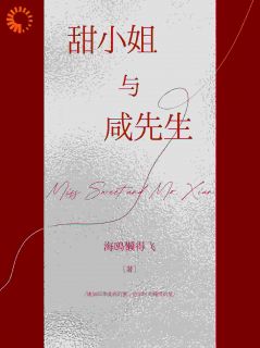 甜小姐与咸先生