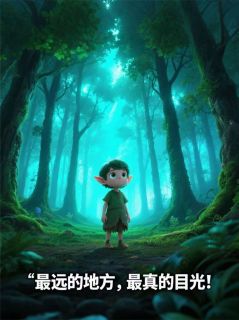 最远的地方，最真的目光