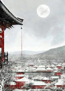怀瑾握瑜：女医在上