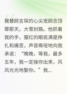 我替姐姐坐牢，他娶了我仇人