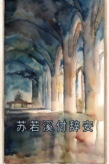 苏若溪付辞安