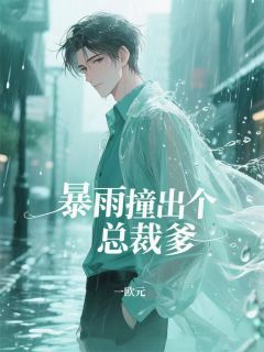暴雨撞出个总裁爹