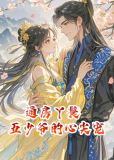 通房丫鬟，五少爷的心尖宠