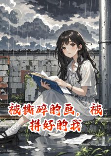 被撕碎的画，被拼好的我