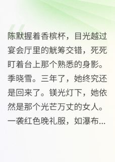 重新追求亲老婆
