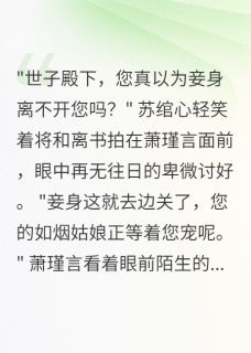 侧妃出逃，世子殿下疯了