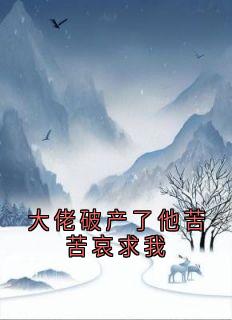 大佬破产了他苦苦哀求我