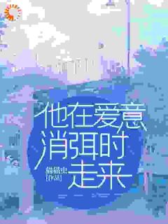 他在爱意消弭时走来