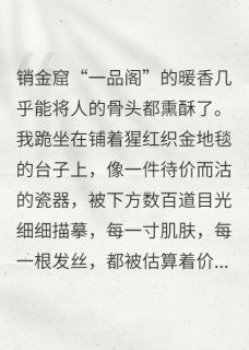 穿越为销金窟的细作后