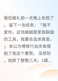 婚礼前夜我消失了七十二小时