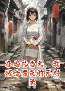 在婚礼当天，我嫁给男友的死对头