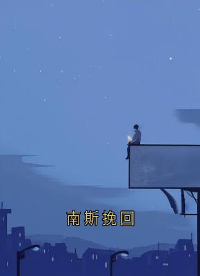 南斯挽回