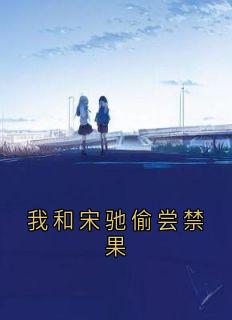 我和宋驰偷尝禁果