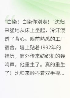 穿越九零，追回初恋