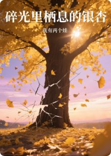 碎光里栖息的银杏