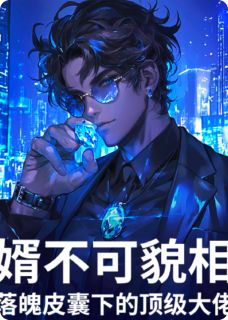 婿不可貌相：落魄下的顶级大佬