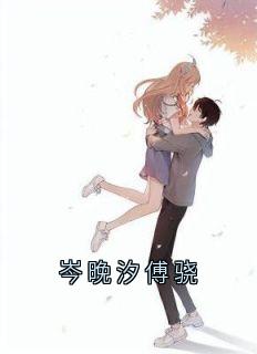 岑晚汐傅骁