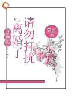 齐台长，离婚了请勿打扰