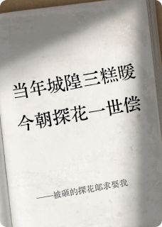 被砸的探花郎求娶我