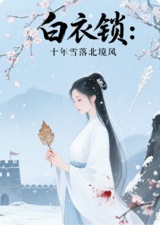 白衣锁：十年雪落北境风