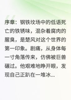 钢铁御兽：天才驭灵师穿越废土
