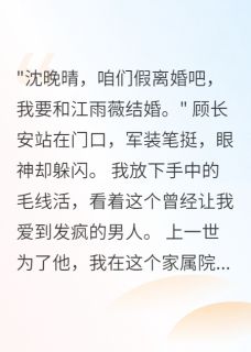 首长要假离婚，我答应得太爽快