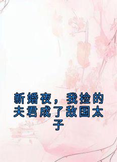 新婚夜，我捡的夫君成了敌国太子