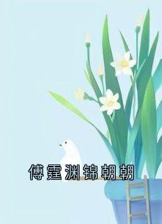 傅霆渊锦朝朝