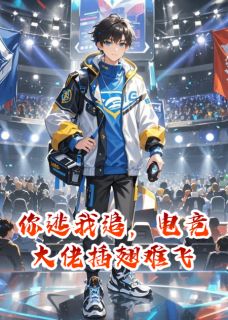 你逃我追，电竞大佬插翅难飞