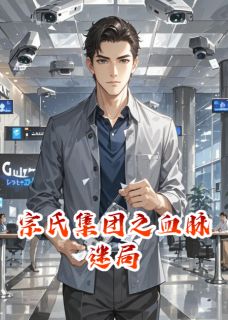 宗氏集团之血脉迷局