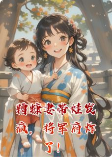 糟糠妻带娃发疯，将军府炸了！