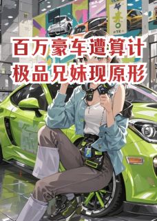 百万豪车遭算计，极品兄妹现原形