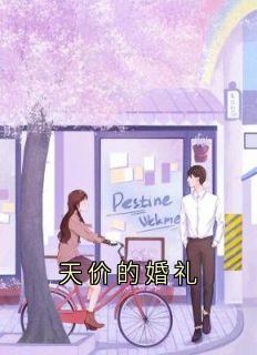天价的婚礼