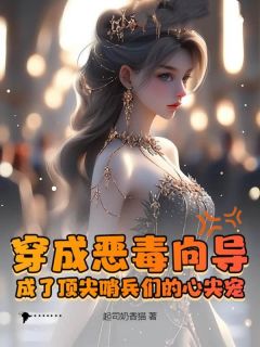 穿成恶毒向导，成了顶尖哨兵们的心尖宠