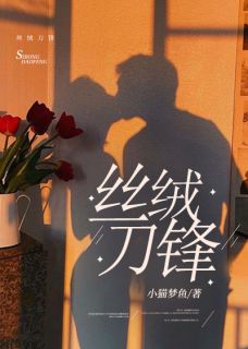 丝绒刀锋