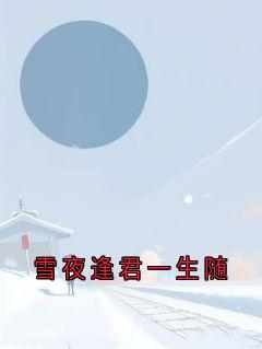 雪夜逢君一生随