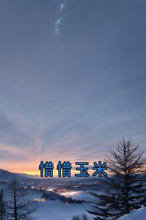 惜惜玉米