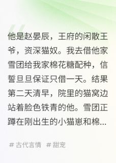 拐了王爷的猫，还拐了王爷的人
