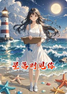 星落时见你