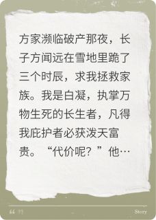 掌中万物