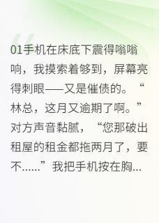 破产CEO的温婉保姆