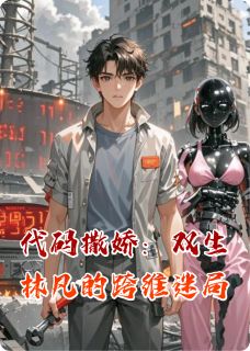 代码撒娇：双生林凡的跨维迷局