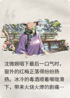 重生之凤影刃
