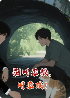 别叫老板，叫老攻