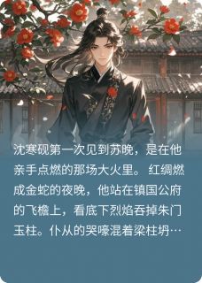 烬中烛