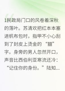 总裁的契约假妻是个黑莲花