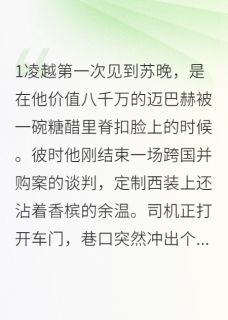 总裁的糖醋小逃妻