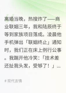 离婚？陆总他反悔了！