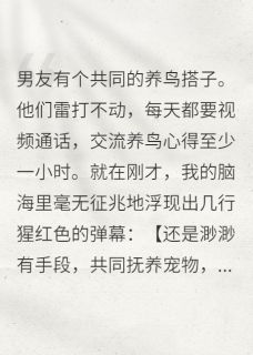 我的恋爱脑，被弹幕治好了